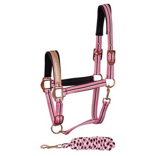 Halsterset Mare