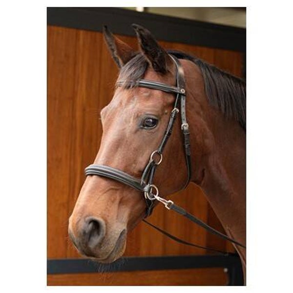 Hoofdstel Bitloos Sidepull