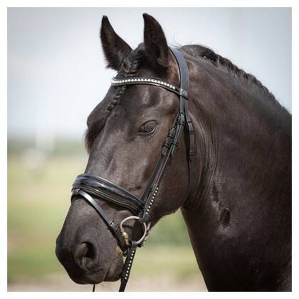 Hoofdstel Diamond Lacque