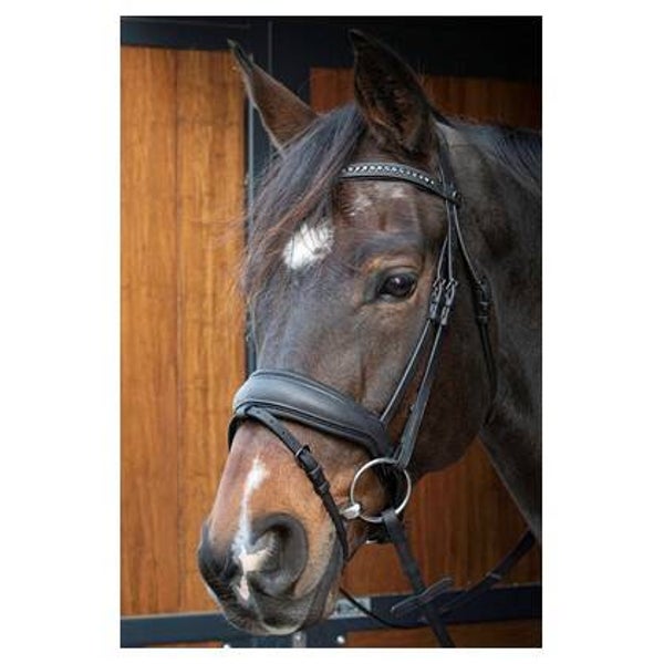 Hoofdstel Soft Bombastic Black Edition