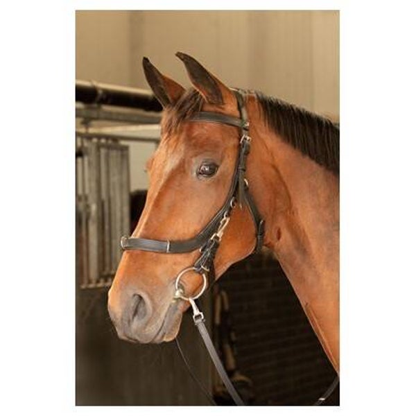 Kaptoom hoofdstel Leder Anatomic