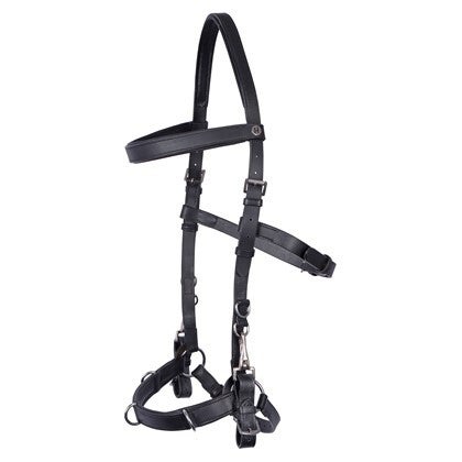 Kaptoom hoofdstel Leder