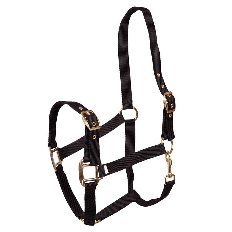 Premiere halster verstelbaar