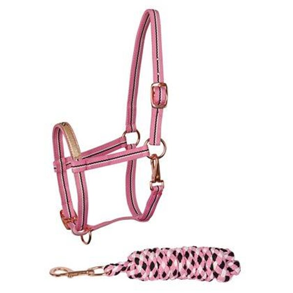 Veulenhalsterset Foal