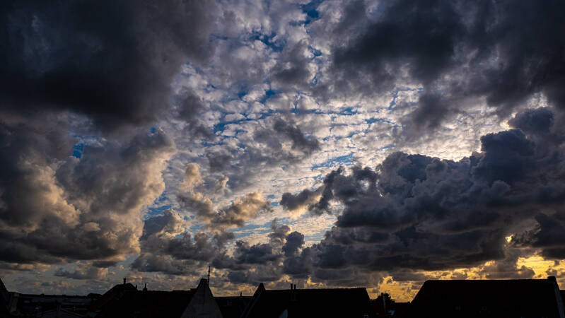 _1001098-standard-jtvk0v.jpg