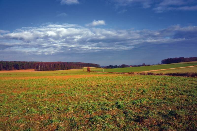 _mg_7159montferland-standard-m5i8tn.jpg