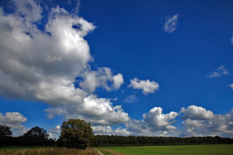 _mg_7620-standard.jpg
