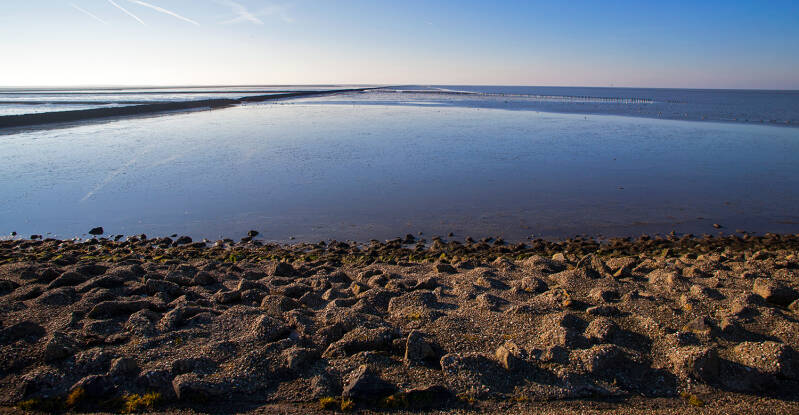 _mg_8869-standard.jpg