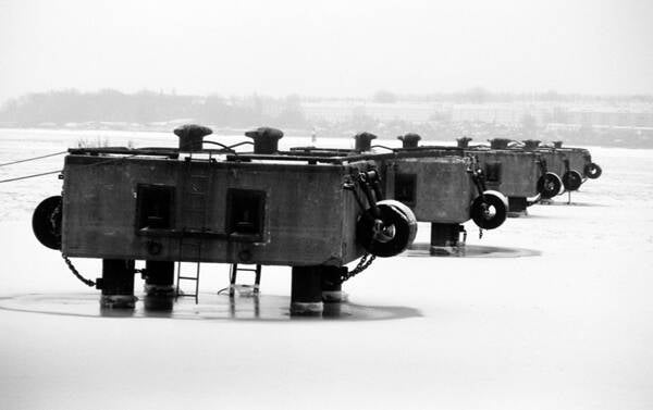 img008-2-standard.jpg