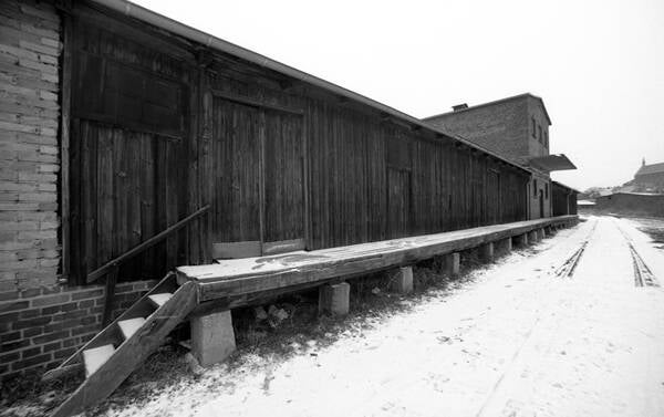img020-2-standard.jpg