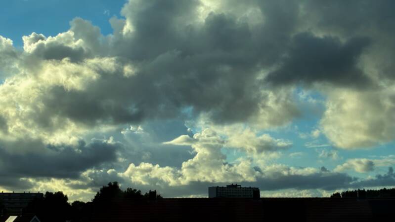 img_0596-3x-standard.jpg