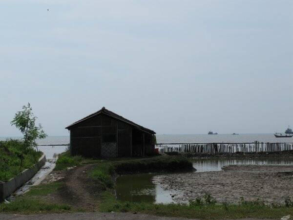 img_5968-standard.jpg