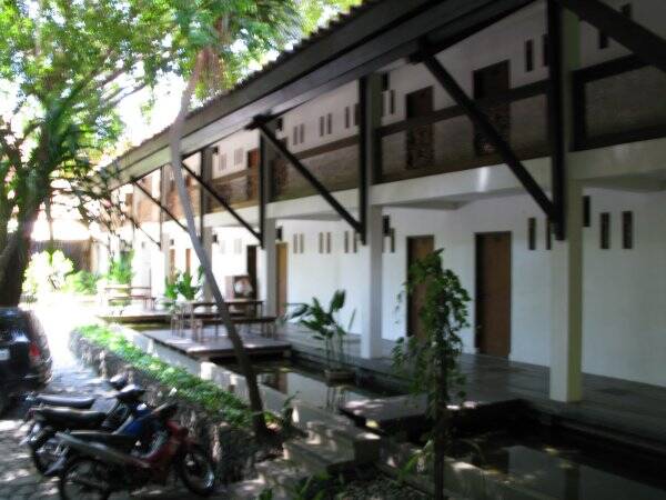 img_5982-standard.jpg