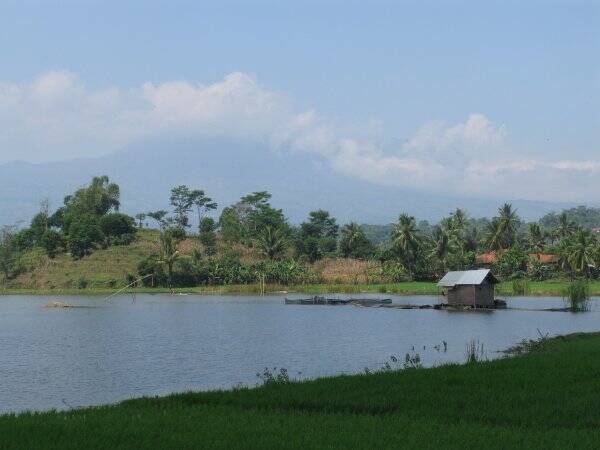 img_6073-standard-lmi4g1.jpg