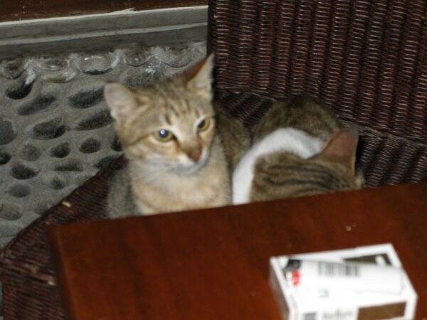 img_6141-standard.jpg