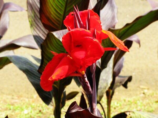 img_6234-standard.jpg