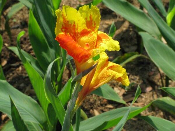 img_6235-standard.jpg