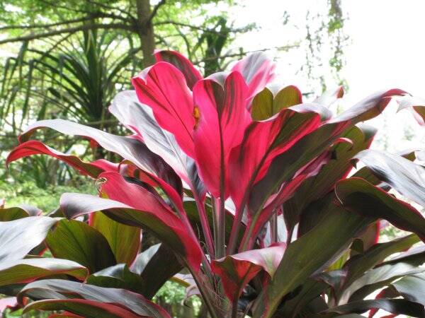 img_6237-standard.jpg