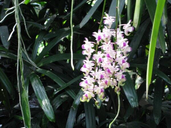 img_6247-standard.jpg