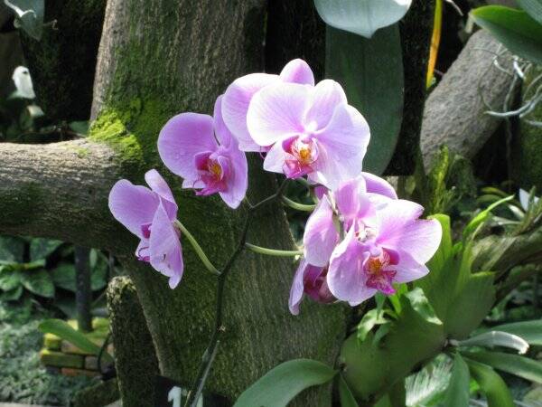img_6255-standard.jpg