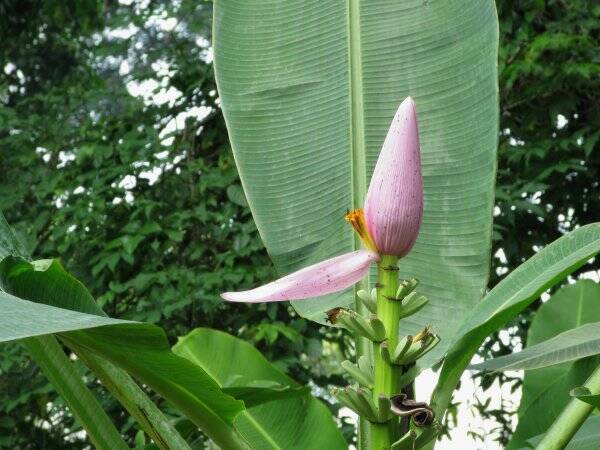 img_6263-standard.jpg