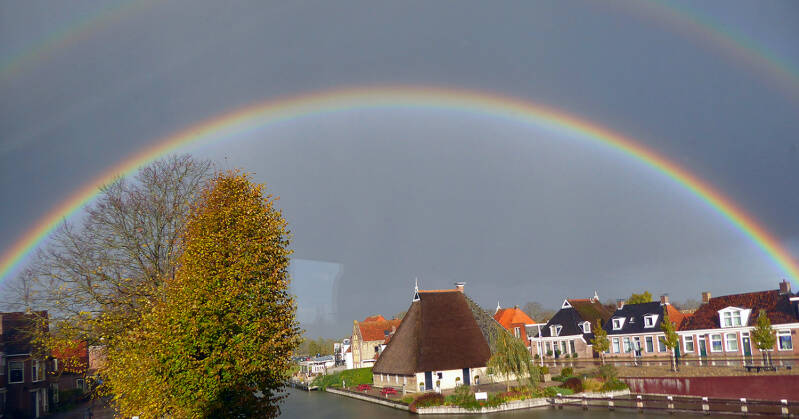 p1000013-standard.jpg