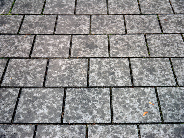 p1000062-standard-k9042i.jpg