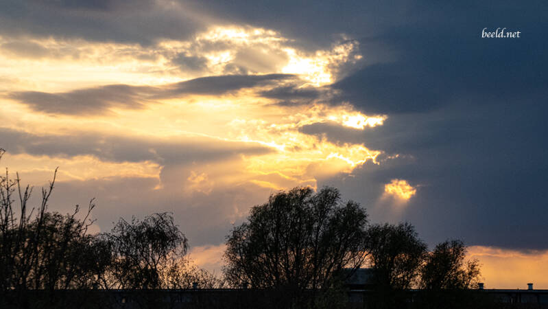 p1001310-standard-4y6ra2.jpg
