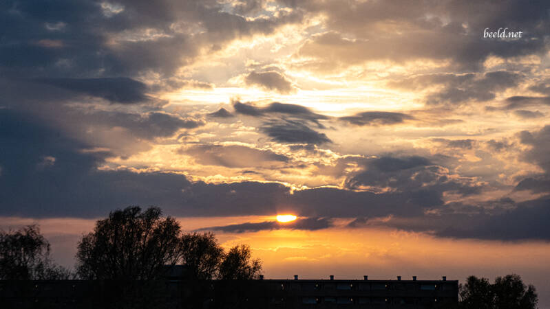 p1001317-standard-zw7c6q.jpg