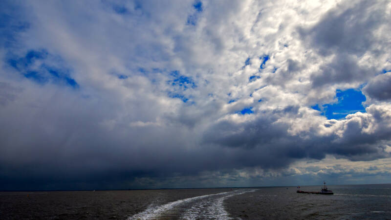 p1010552-standard.jpg