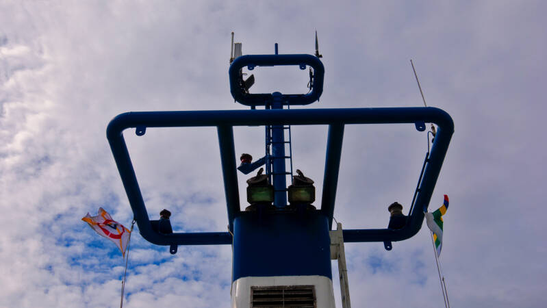 p1010561-standard.jpg