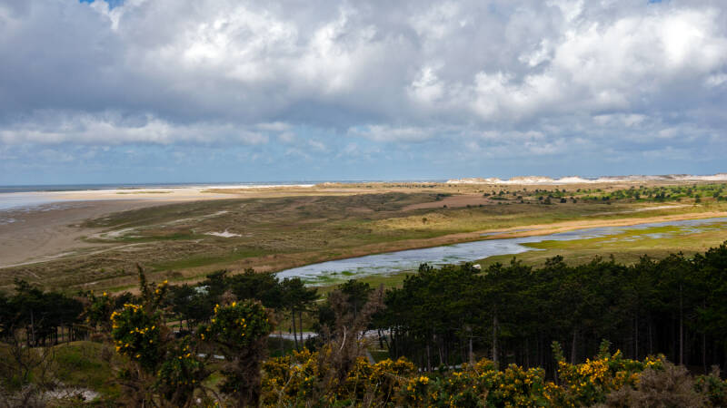p1010575-standard.jpg