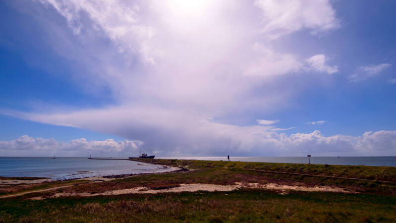 p1010596-standard.jpg