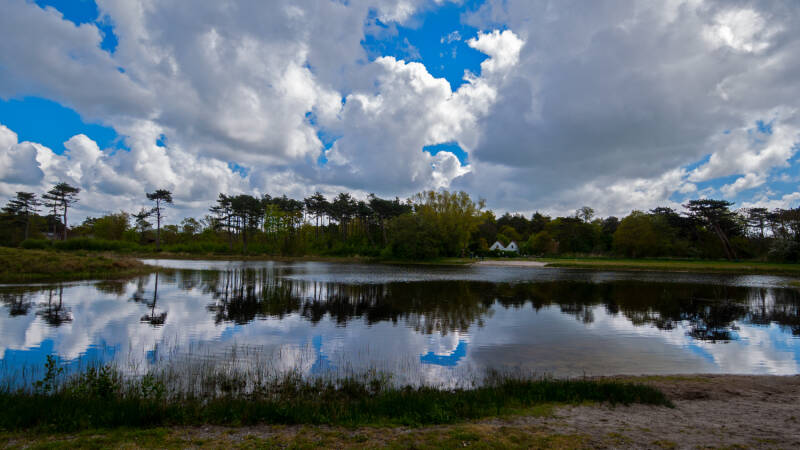 p1010639-standard.jpg