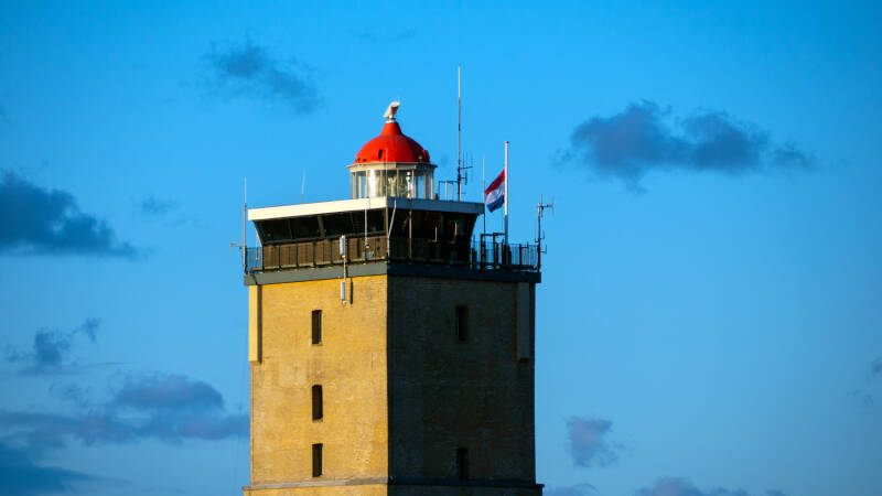 p1010694-standard.jpg