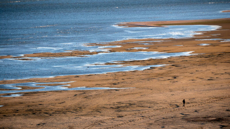 p1010704-standard.jpg