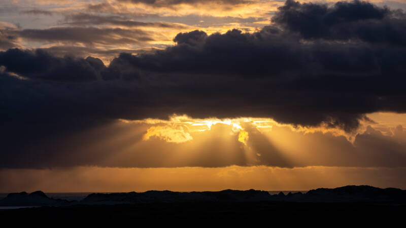 p1010738-standard.jpg