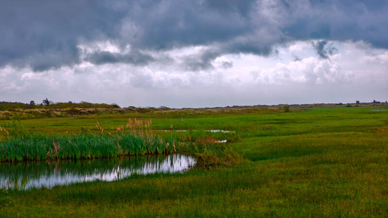 p1010811-standard.jpg