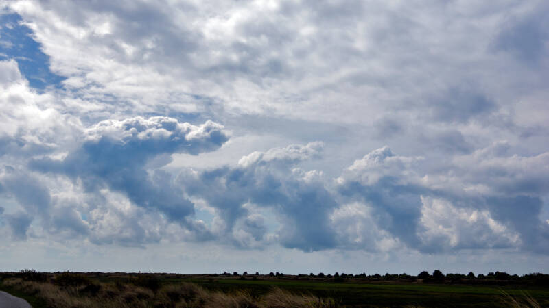 p1010821-standard.jpg