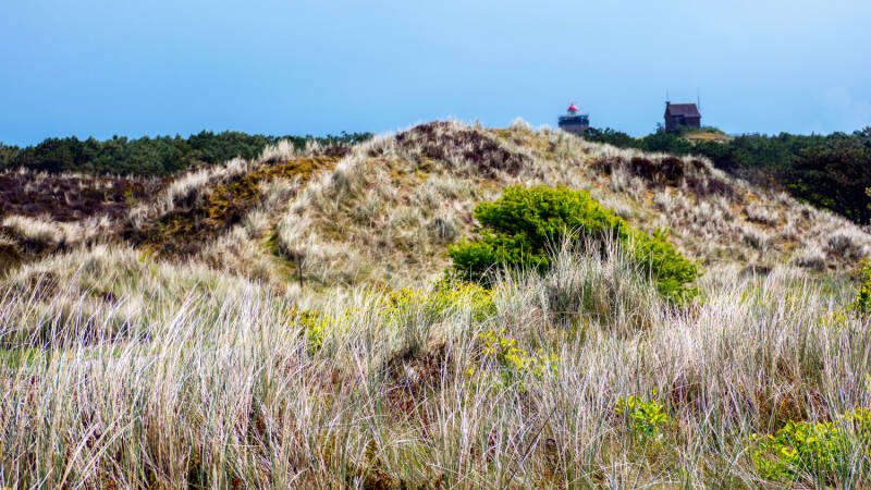 p1010828-standard.jpg