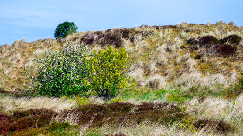 p1010831-standard.jpg