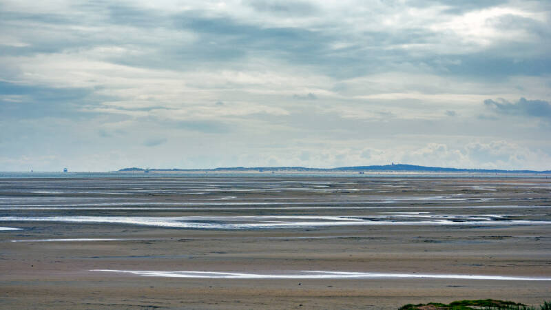 p1010873-standard.jpg