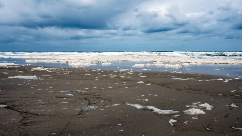 p1010909-standard.jpg
