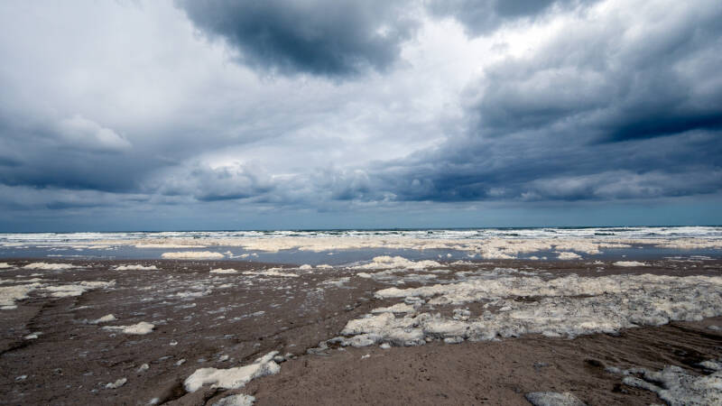 p1010913-standard.jpg