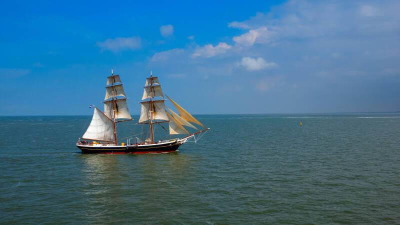 p1010993-standard.jpg