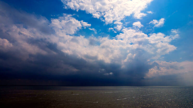 p1010998-standard.jpg