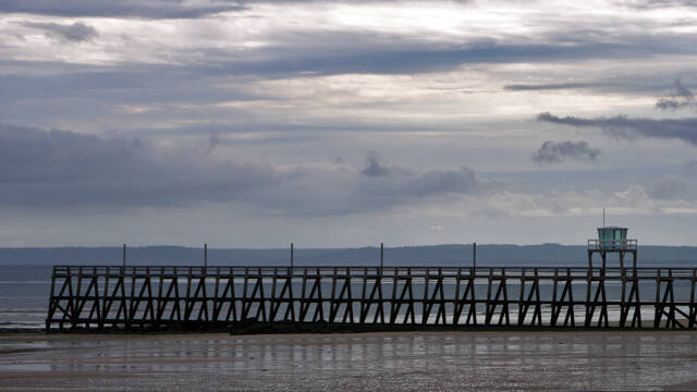p1040150-standard.jpg