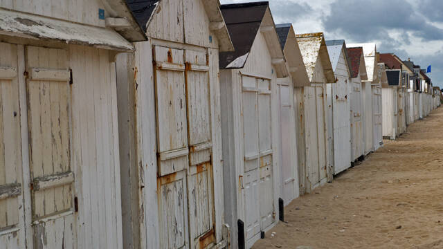 p1040180-standard.jpg