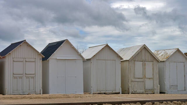 p1040190-standard.jpg