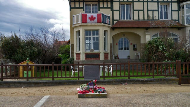 p1040194-standard.jpg